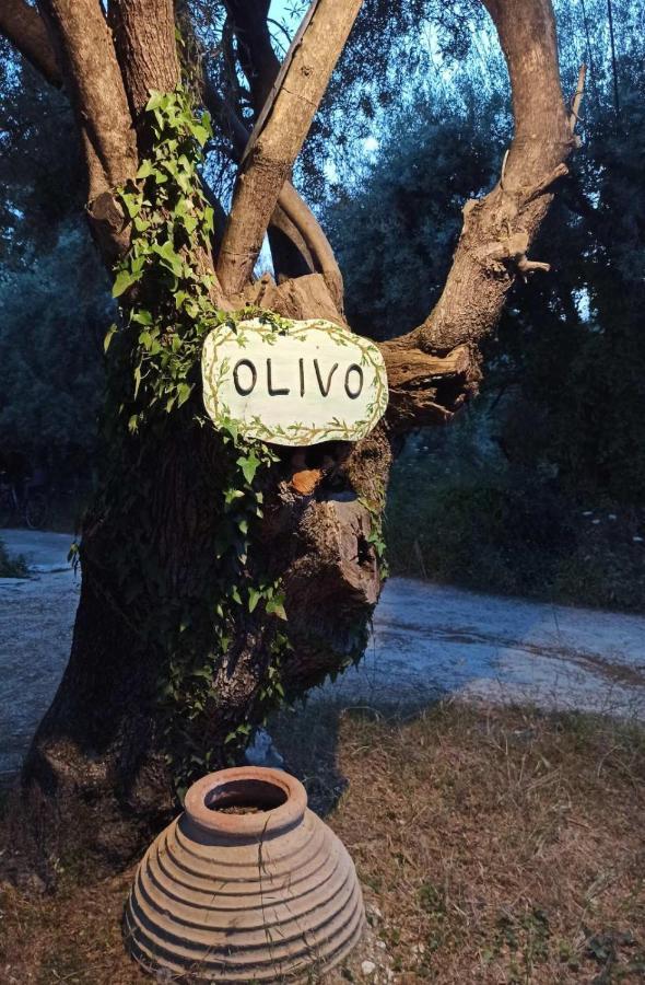 דירות Olivo Nydri מראה חיצוני תמונה