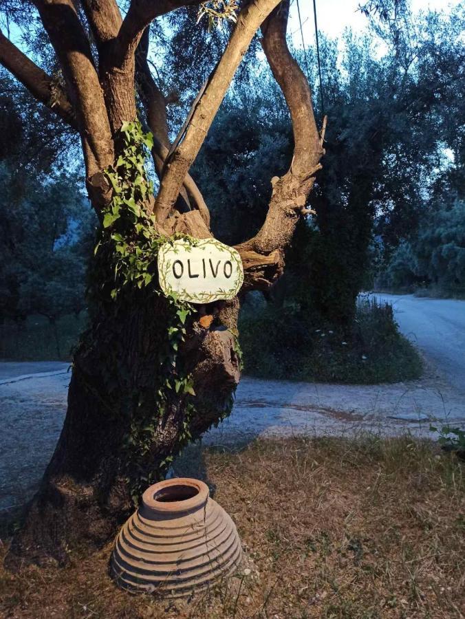 דירות Olivo Nydri מראה חיצוני תמונה