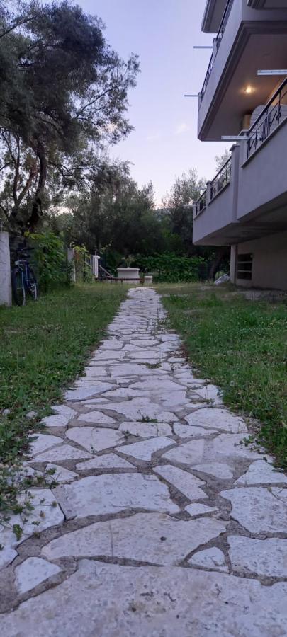 דירות Olivo Nydri מראה חיצוני תמונה